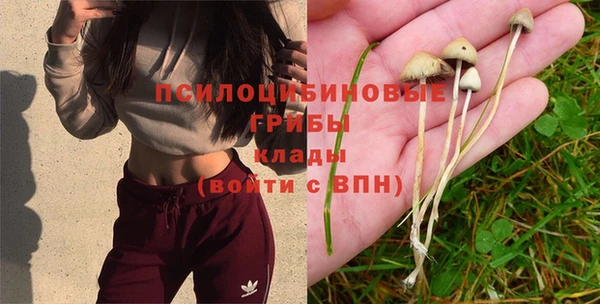 не бодяженный Аркадак
