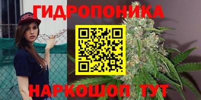 мет Можга