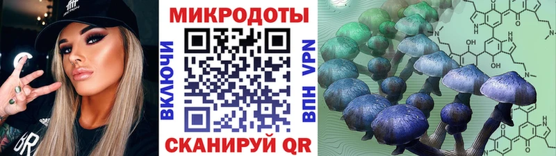 shop официальный сайт  кракен как зайти  Мытищи  Псилоцибиновые грибы мицелий 